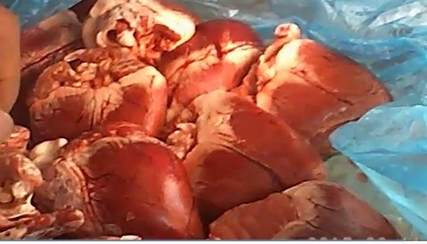 Kinh hoàng tim lợn đông lạnh siêu rẻ ở các chợ Hà Nội