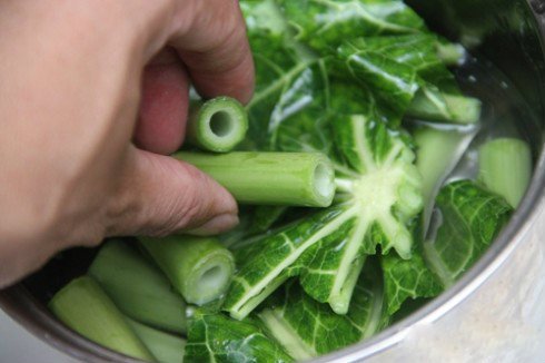 Lá cây gì có thể chữa được 7 bệnh nguy hiểm