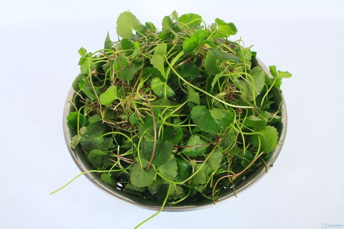 Cách làm sinh tố rau má thơm ngon, bổ dưỡng