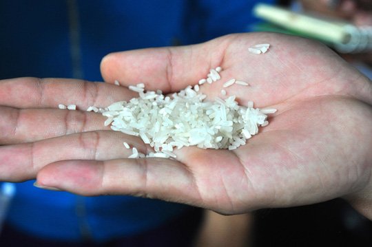 Phát hoảng khi phát hiện trong gạo có hạt nhựa