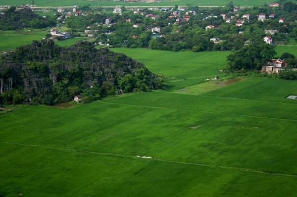 Lên núi Múa ngắm mùa lúa xanh