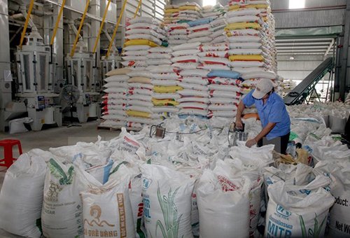 Dự báo xuất khẩu gạo của Việt Nam trong quý 2 chỉ đạt 1,5 triệu tấn