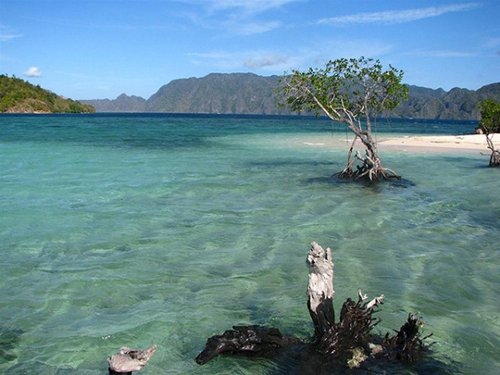 Hè này lên đường đến Philippines lặn biển ở Palawan