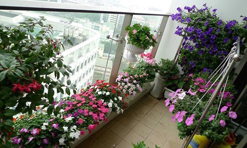 Những căn hộ chung cư đẹp hút hồn nhờ ban công hoa