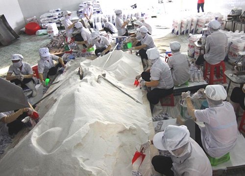 Công bố chất lượng muối ăn ở biển miền Trung sau vụ cá chết