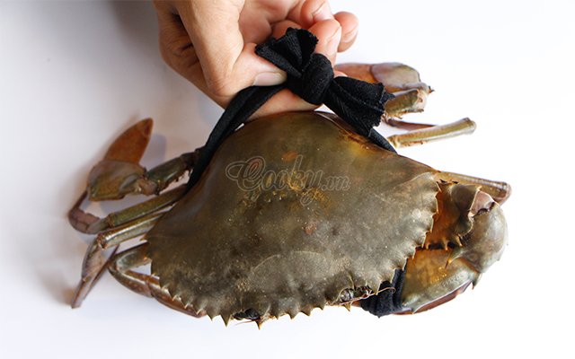 4 mẹo đơn giản giúp chọn của biển ngon, gạch nhiều và chắc thịt