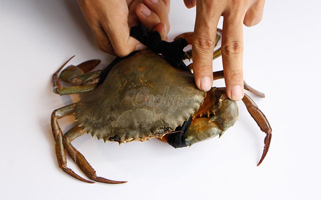 4 mẹo đơn giản giúp chọn của biển ngon, gạch nhiều và chắc thịt