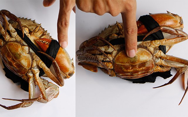 4 mẹo đơn giản giúp chọn của biển ngon, gạch nhiều và chắc thịt