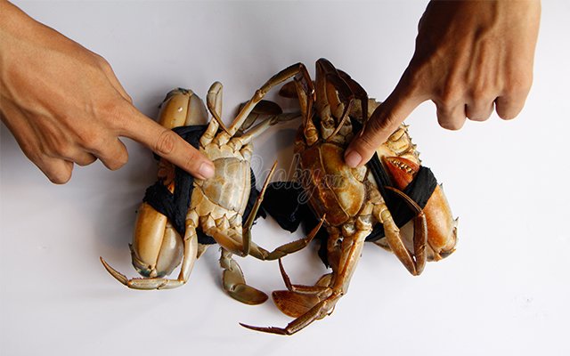 4 mẹo đơn giản giúp chọn của biển ngon, gạch nhiều và chắc thịt