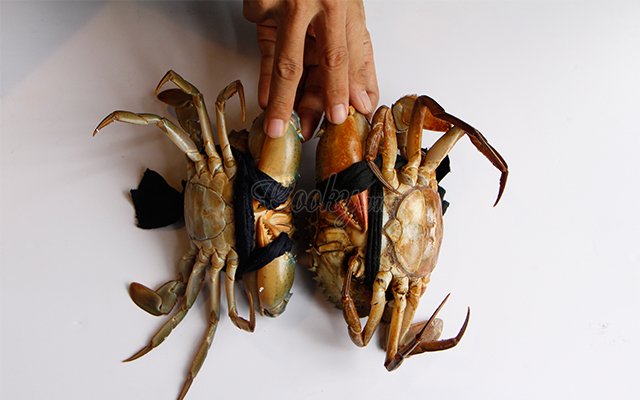 4 mẹo đơn giản giúp chọn của biển ngon, gạch nhiều và chắc thịt