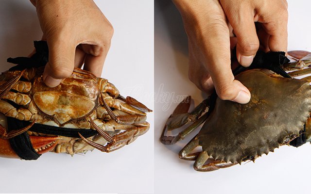 4 mẹo đơn giản giúp chọn của biển ngon, gạch nhiều và chắc thịt