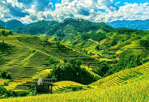 Việt Nam là điểm đến số 1 cho chuyến du lịch một mình