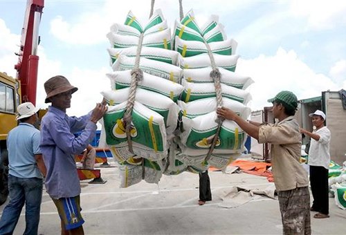 Doanh nghiệp xuất khẩu gạo kêu vướng Nghị định 109