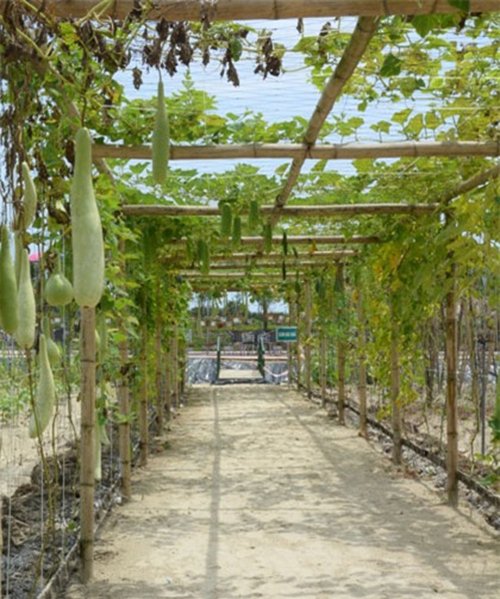 Những điểm du lịch xanh mát lý tưởng xuyên miền Trung