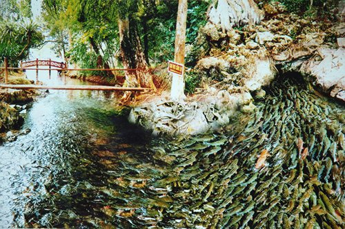 Những điểm du lịch xanh mát lý tưởng xuyên miền Trung