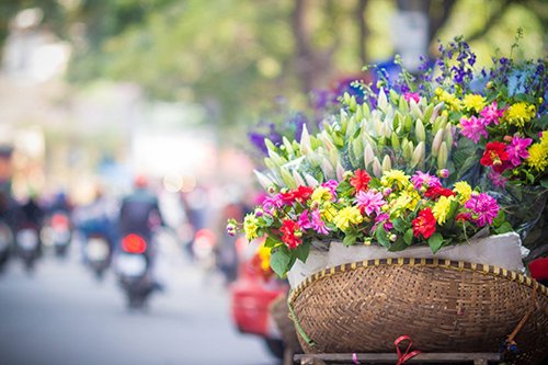 Tử vi mới nhất Thứ 5 ngày 9/6/2016 của 12 cung hoàng đạo