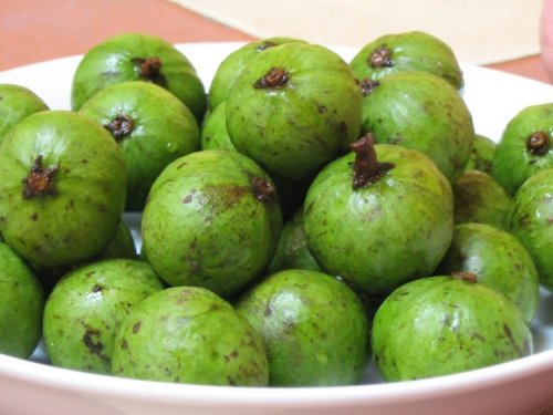 Những người ăn sấu chẳng khác nào tự hại mình