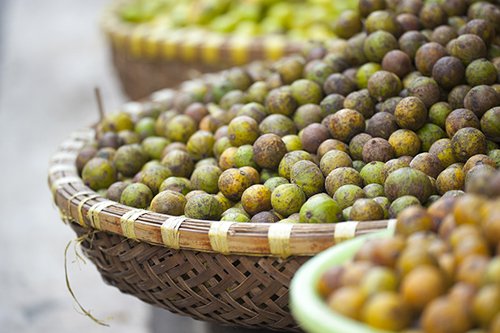 Những người ăn sấu chẳng khác nào tự hại mình