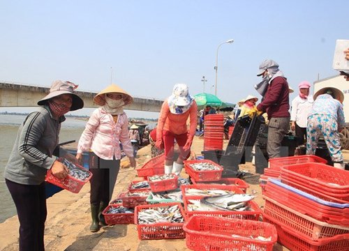 Thành phố Đà Nẵng kiểm tra chất lượng các mặt hàng thủy sản