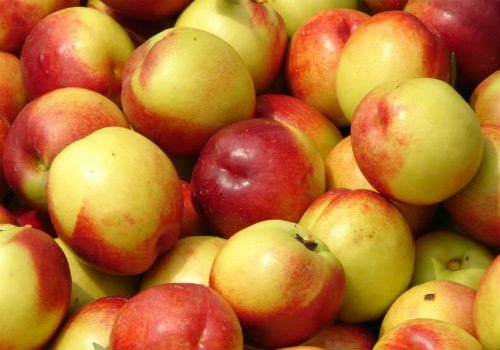 Những lợi ích tuyệt vời khi ăn quả đào ngày hè