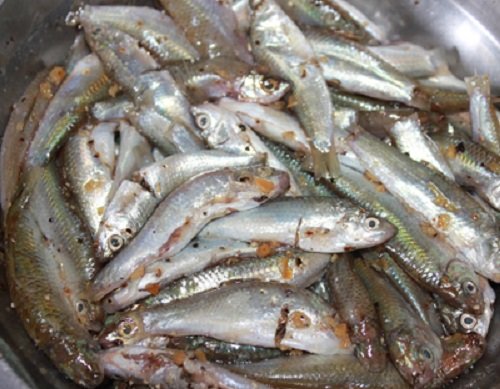 Về miền Tây thưởng thức cá linh kho tiêu