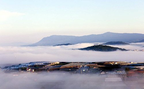 Mê mẩn dạo chơi ở làng hoa lớn nhất Đà Lạt trong sương sớm