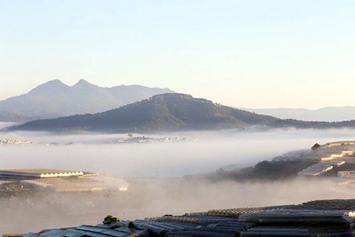 Mê mẩn dạo chơi ở làng hoa lớn nhất Đà Lạt trong sương sớm