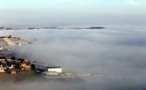 Mê mẩn dạo chơi ở làng hoa lớn nhất Đà Lạt trong sương sớm