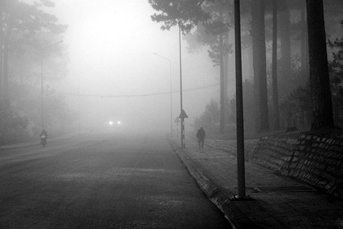 Mê mẩn dạo chơi ở làng hoa lớn nhất Đà Lạt trong sương sớm