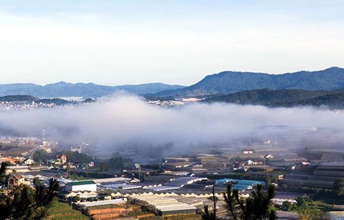 Mê mẩn dạo chơi ở làng hoa lớn nhất Đà Lạt trong sương sớm