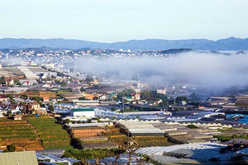 Mê mẩn dạo chơi ở làng hoa lớn nhất Đà Lạt trong sương sớm
