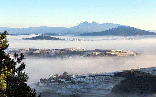 Mê mẩn dạo chơi ở làng hoa lớn nhất Đà Lạt trong sương sớm