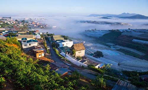 Mê mẩn dạo chơi ở làng hoa lớn nhất Đà Lạt trong sương sớm