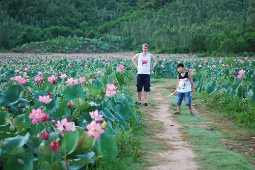 Mùa sen rực rỡ ở Quảng Nam "đốn tim" du khách