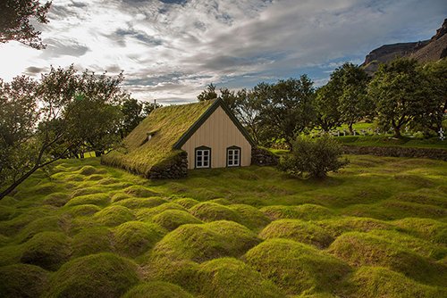 "Đã mắt" với những ngôi nhà phủ cỏ xanh siêu đẹp chưa từng có