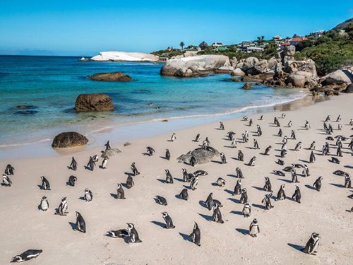 "Lạc mất trái tim" ở 25 bãi biển đẹp nhất thế giới