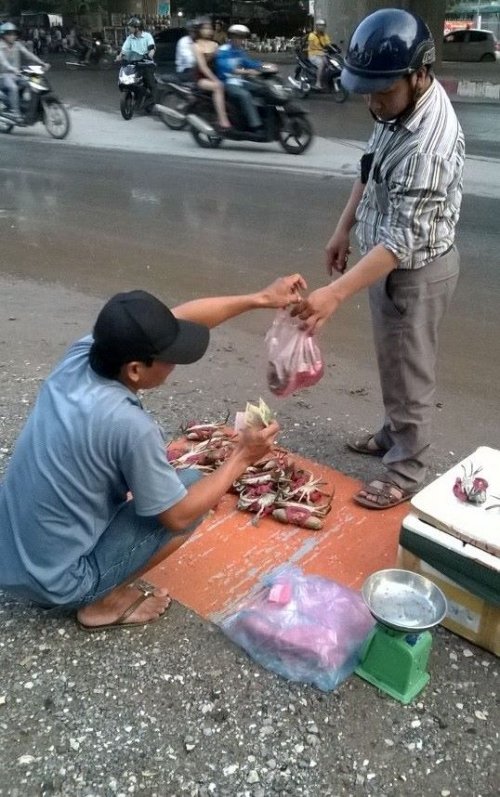Giật mình cua biển giá siêu rẻ bày bán tràn lan trên vỉa hè Hà Nội
