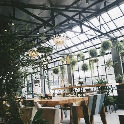 4 quán cà phê có không gian xanh mướt trốn nắng ở Hà Nội