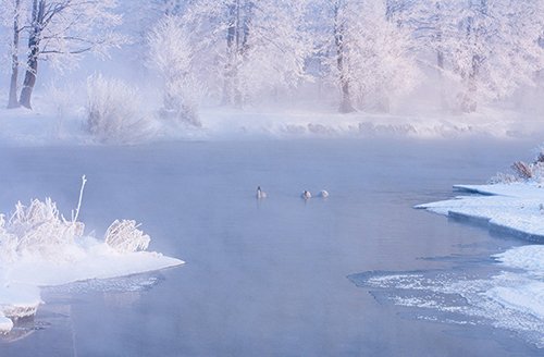 Cảnh tượng mùa đông đẹp như mơ ở Belarus