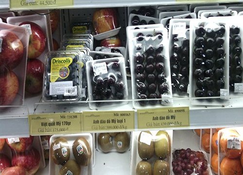 Lạc giữa “mê cung” cherry