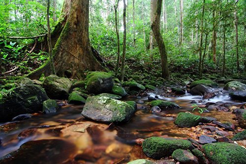 Phong Nha - Kẻ Bàng vào top 7 công viên quốc gia Đông Nam Á