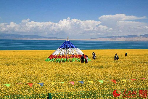 Ngỡ ngàng với thảm hoa vàng rực ở hồ lớn nhất Trung Quốc