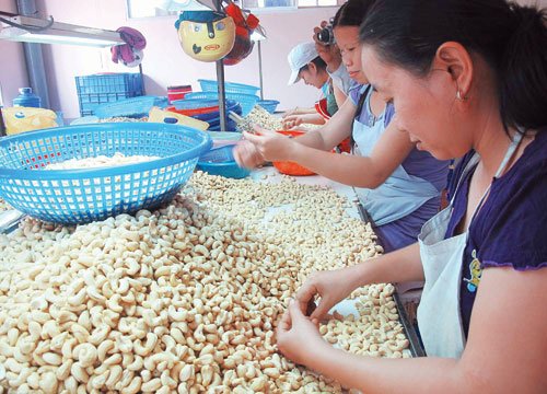 Tiêu được giá, điều... hụt hơi