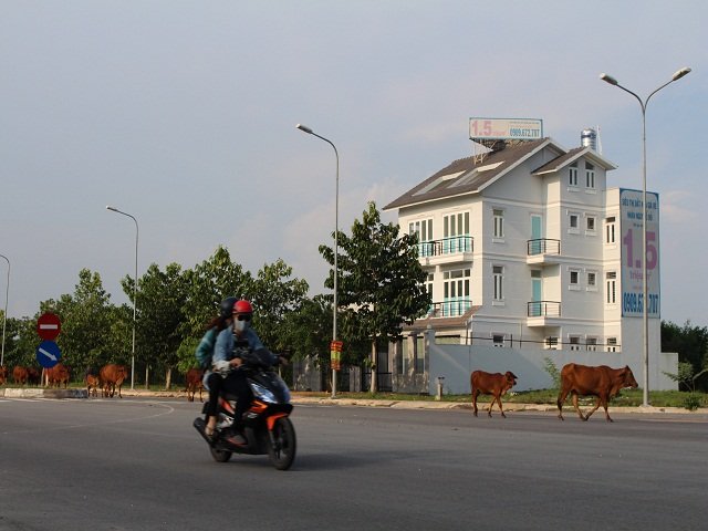 Thành phố mới Nhơn Trạch hóa “thành phố ma”