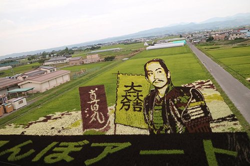Choáng với nghệ thuật "vẽ tranh" trên đồng lúa ở Nhật Bản
