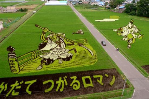 Choáng với nghệ thuật "vẽ tranh" trên đồng lúa ở Nhật Bản