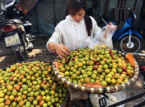 Bốn loại quả Trung Quốc đội lốt hàng sạch lừa dân Việt
