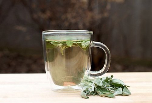 Top 5 loại nước trà giúp bạn giảm cân hiệu quả
