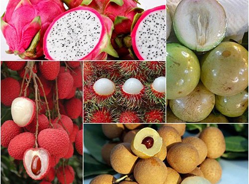Những trái cây Việt có 'vé' vào thị trường Mỹ