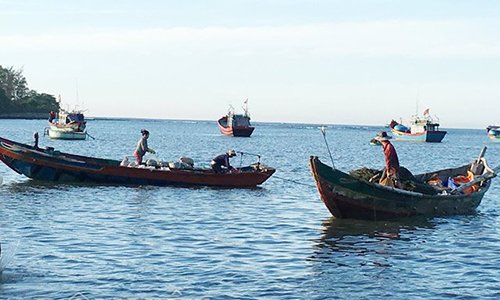 Cho cua, ghẹ ăn... cá "đặc sản"